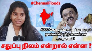 Chennai's Topography and Pallikaranai Marshland Occupation: Causes of Chennai Floods | Tamil Threads