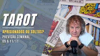 TAROT SEMANAL: APRISIONADOS OU SOLTOS? 05 A 11 NOVEMBRO