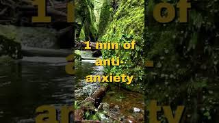 Stress relief // Anti-anxiety meditation music #Shorts