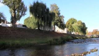 Grundstück in Flusslage - das Filetstück an der Enz