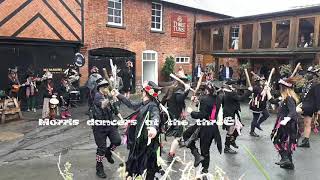 Bishop's castle Morris dancers