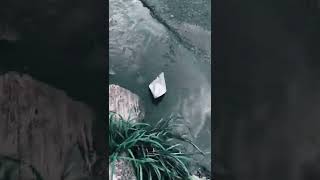 A Paper Boat Floating Over A Roadside Water Canal #short