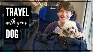 Everything You Need to Know About Traveling with a Dog