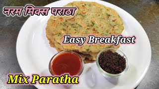 Mix Paratha | नरम मिक्स पराठा | Veg mix Paratha | Easy Breakfast recipe | Hamro Chula