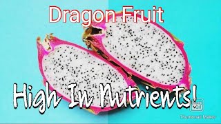 DRAGON FRUIT, A SWEET OBLONG TROPICAL FRUIT @BRIGUERA VLOGZ