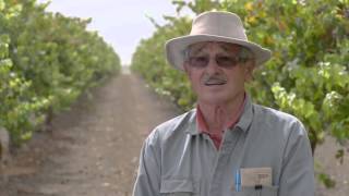 La Trobe University Engineering - Be the engineer who sustains our water supply