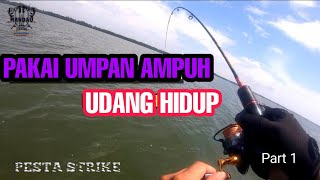 UMPAN JITU MANCING DASARAN DI LAUT || part 1