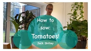 How to sow: Tomatoes | Jack Shilley