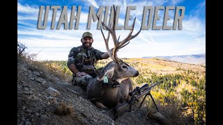 Chad Mendes | Utah High Country Mule Deer