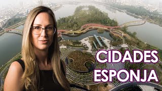 Cidades Esponja: Seriam estas soluções inovadoras para o futuro das nossas cidades?