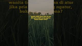 opo bener lur? #herbisidaselektif #petanimillenial #sawah #padi #petanipadi #pertanianpadi