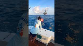 Hurricane Hole Last day!  #risingsons #luckycharm #fishing #ocean #sfc #nature #fish #marlin