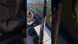 Is this the best Top Water Lure?   Catches Giants!  #frogging #bassfishing #fishingvideo