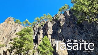 Los ANDENES de TASARTE (comentada) (diciembre 2021) #GranCanaria #Inagua #Tasarte