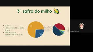 Vídeo Agronegócio do Milho