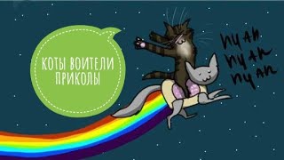 Коты воители приколы