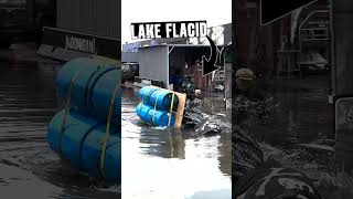 What made #Hoonigan's Lake Flacid?