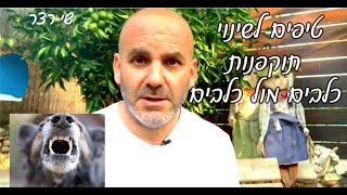 יש לכם כלב שתוקף כלבים? טיפים לשינוי התנהגות