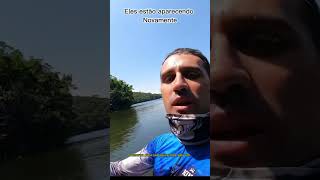 Os Jacundás estão voltando à aparecer na Billings 🎣