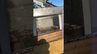 Wasps explode at 5600 Volts DC