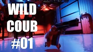 WILD COUB #01 game / coub / приколы