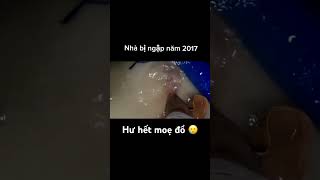 Nhà bị ngập năm 2017