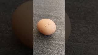 spreckled egg