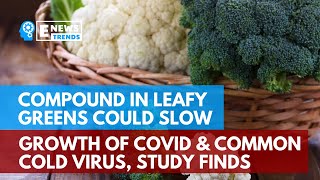 Compound in Leafy Greens Could Slow Growth of COVID and Common Cold Virus, Study Finds