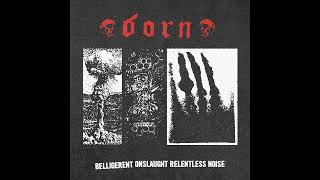 B.O.R.N. - Belligerent Onslaught Relentless Noise (2023)[RawPunk]