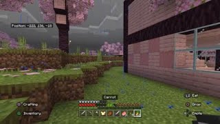 Minecraft pig Z