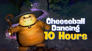 Cheeseball the Wizard Cat Dancing 10 Hours