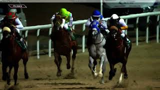 Al Ain 03 03 24 Race 7