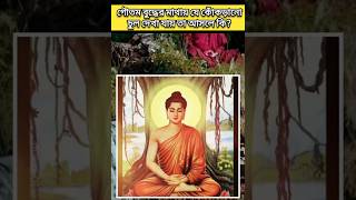 গৌতম বুদ্ধের মাথায় যে কোঁকড়ানো চুল দেখা যায় তা আসলে কি? #goutambudha #shorts