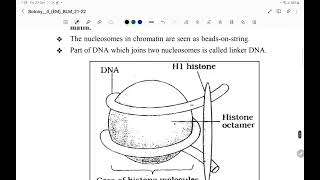 MOLECULAR BASIS OF INHERITANCE IPE preparation