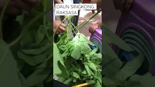 DAUN SINGKONG RAKSASA pertama Lihat #shorts