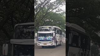 Klakson Telolet Basuri Ala Bus Po Haryanto