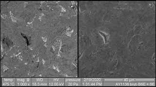 Coating formation on steel   SEM observation at high temperature