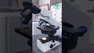 Olympus Microscope CX21 | Binocular Microscope | How to use compound Light Microscope | Microscope