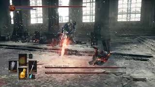 Ds3 twin princes