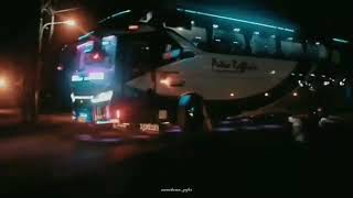 Story wa Cinematic bus Putra Rafflesia ||Story'wa bus keren||