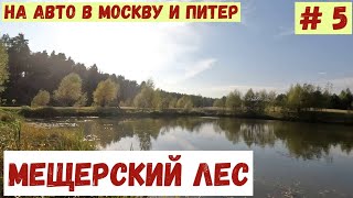 На авто в Москву и Питер. # 5. Москва: Мещерский лес.