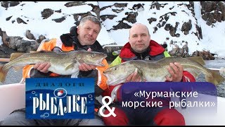 Мурманские морские рыбалки и диалоги о рыбалке 2019