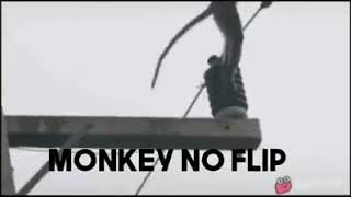 monkey no flip