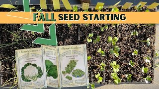 What Seeds We Are Starting For Fall.. RIGHT NOW! // Sacramento Gardening, Zone 9B