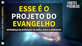 211 - ESSE É O PROJETO DO EVANGELHO