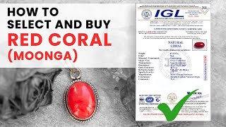 How to Select and Buy Red Coral (Moonga) || Brahma Gems | 9953660004