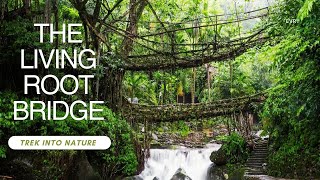 The Living Root Bridge | Trek Into Nature