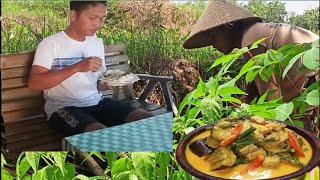 Suasana Pagi Di Desa, Memasak Sayur Terong , Teri Kuah Santan