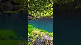 CHOCADOS 😮‍💨 Laguna de La Niña Encantada - Argentina