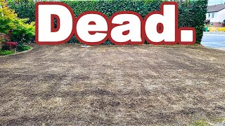 Easily FIX Your Dead Lawn NOW...